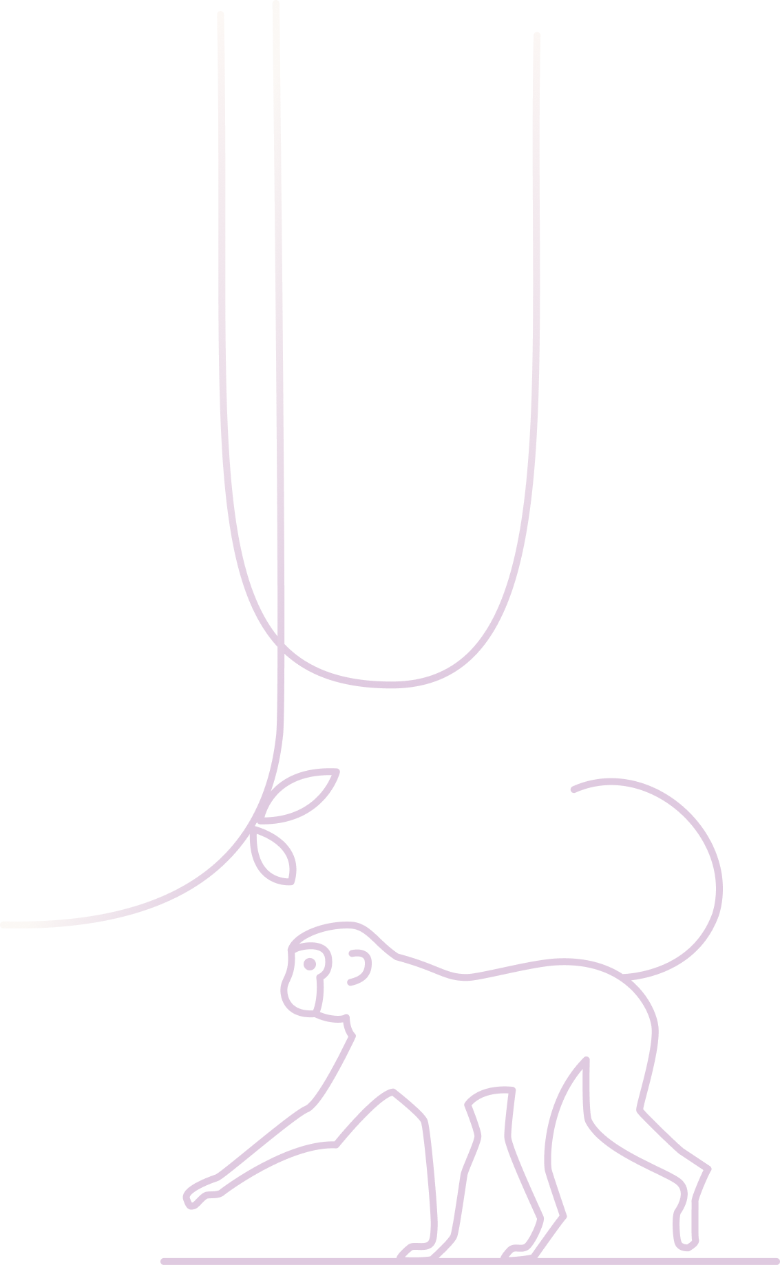 Mini Maxi Med Graz Mini Maxi Med Graz - dekoratives Affen Motiv